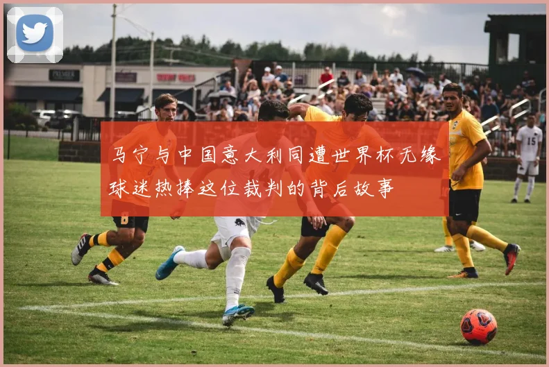马宁与中国意大利同遭世界杯无缘球迷热捧这位裁判的背后故事