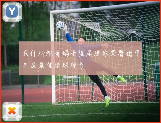 武什科维奇蝎子摆尾进球荣膺德甲年度最佳进球称号